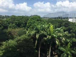 Sanctuary Green (D15), Condominium #71170541